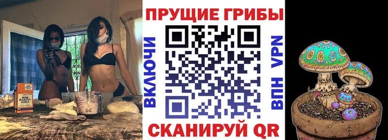 Псилоцибиновые грибы MAGIC MUSHROOMS  закладка  Аша 